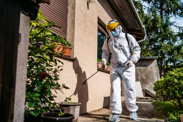 Best Affordable Exterminators  in Paisley, FL