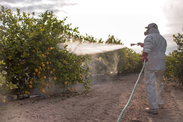Best Pest Prevention Services  in Paisley, FL