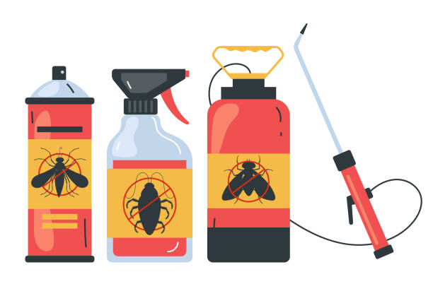 Best Insect Control  in Paisley, FL
