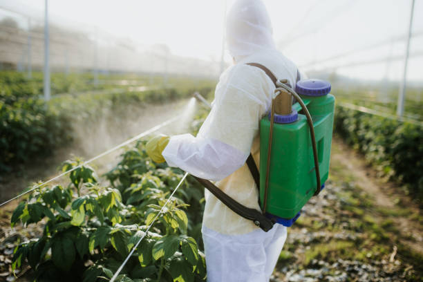 Best Insect Control  in Paisley, FL